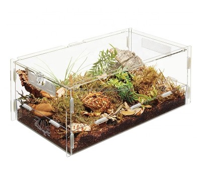 Clear acrylic reptile display cases DBS-020