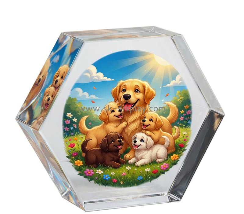 SK Display Co.,Ltd SK Display Co.,Ltd