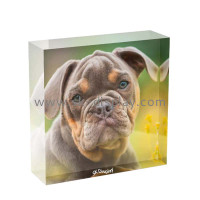 Captivating Visuals: The Acrylic UV Printing Photo Display Block by SK Display