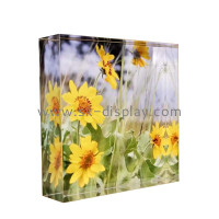 The Art of Acrylic UV Printing Elevating Your Display with SK Display's Custom Photo Blocks