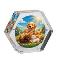 Custom Acrylic Hexagon Photo Blocks: The Geometric Revolution in Modern Displays