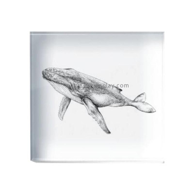 Wholesale custom lucite UV printing block AB-367