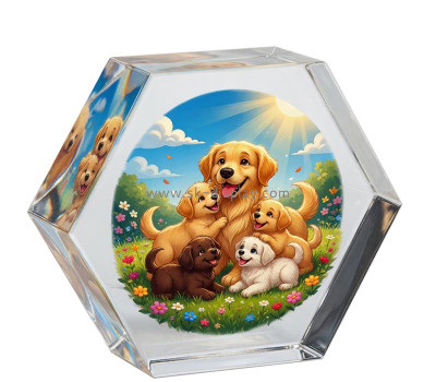 Custom acrylic hexagon photo block AB-438