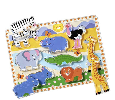 Custom acrylic toy puzzle block set CA-250